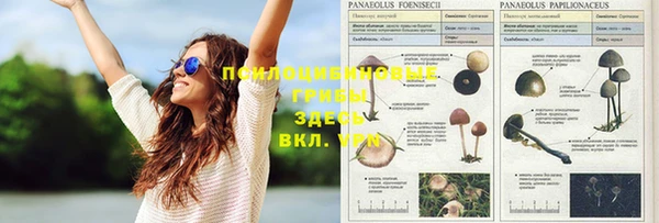 тгк Иннополис
