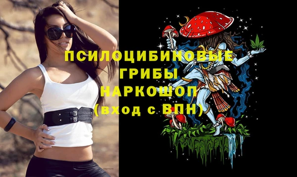 mix Инсар