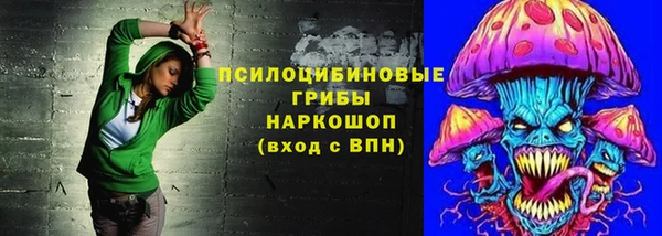 тгк Иннополис