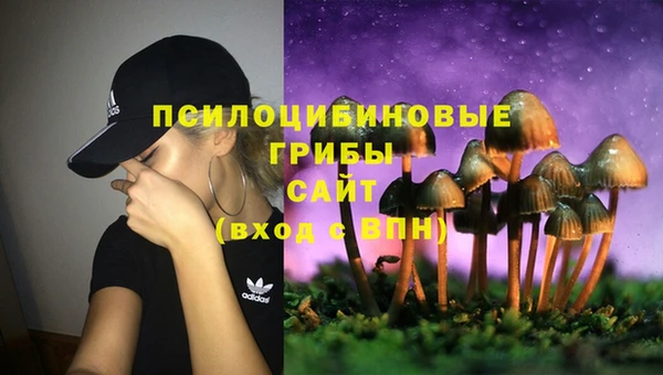 героин Инта