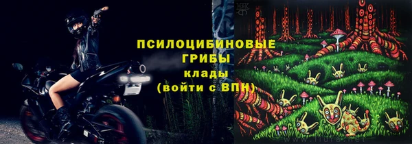 каннабис Каменногорск